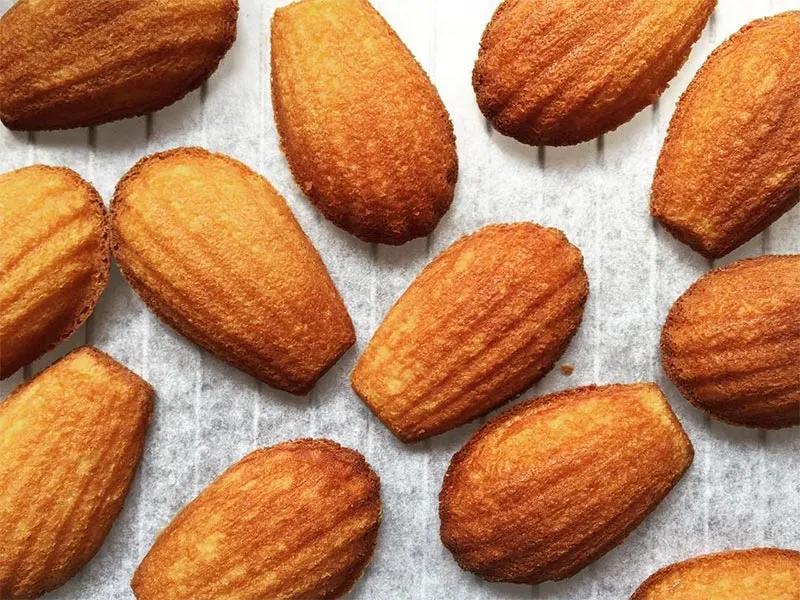 今週末もおでかけ日和